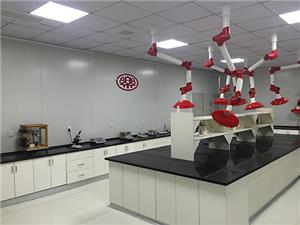 Workshop environment